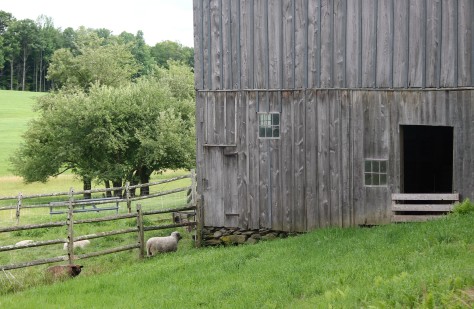 Sheep Barn Enhanced and Cropped