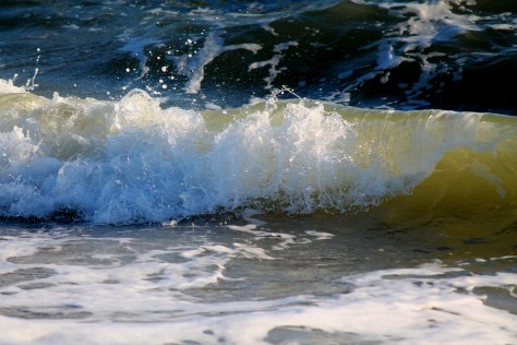 Wave Curl