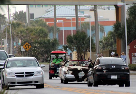 Longhorn Steer Car in Panama City Beach, Florida