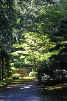 Japanese Gardens -- Portland 2